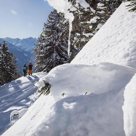 Oldwood - Alpenluxus Collection *