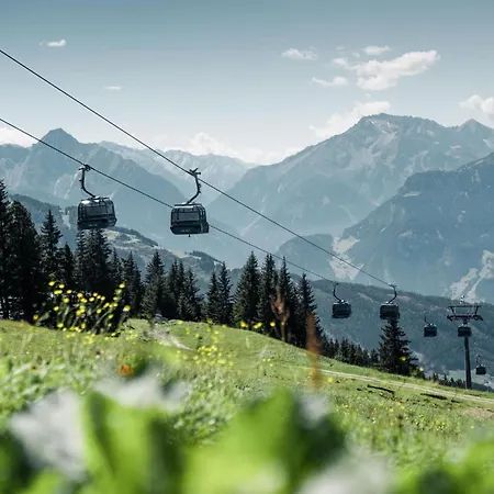 Oldwood - Alpenluxus Collection