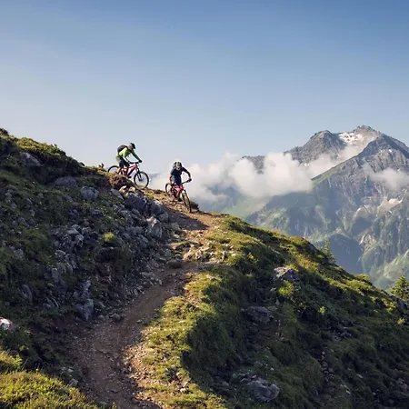 Oldwood Chalet By Alpenluxus Διαμέρισμα *