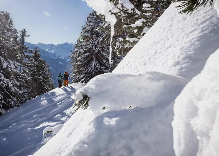 Oldwood - Alpenluxus Collection *